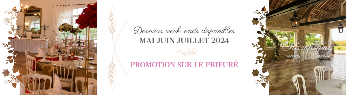 Salle de réception pour Mariage Melun - Domaine de Champigny